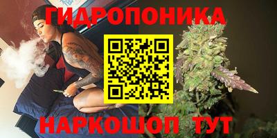 гашик Краснознаменск