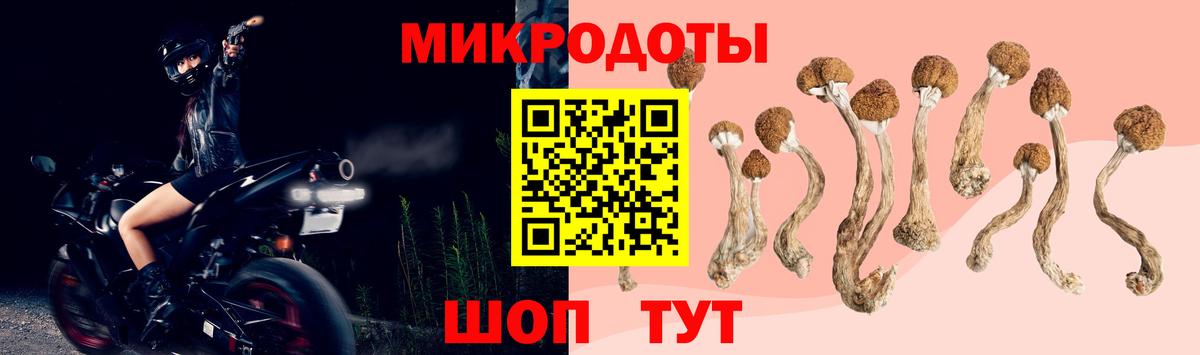 Псилоцибиновые грибы мухоморы  Вход с VPN  Гусиноозёрск 